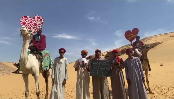 Saudi Camel Teams